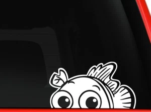 Fish Nemo Peeking kids cartoon character Disney Animation toy 6" White - Picture 1 of 1