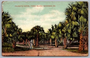 Postal de Georgia, GA, Savannah, Palmetto Grove, Tybee Island 1908 - Imagen 1 de 2
