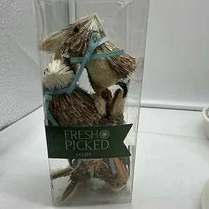 Sisal Easter Bunnies 4 Clips Fresh Picked - Picture 1 of 6