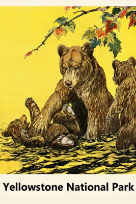 Yellowstone Park Bear Montana Wyoming Art Wall Indoor Room Poster - POSTER 20x30 - Image 1 of 4