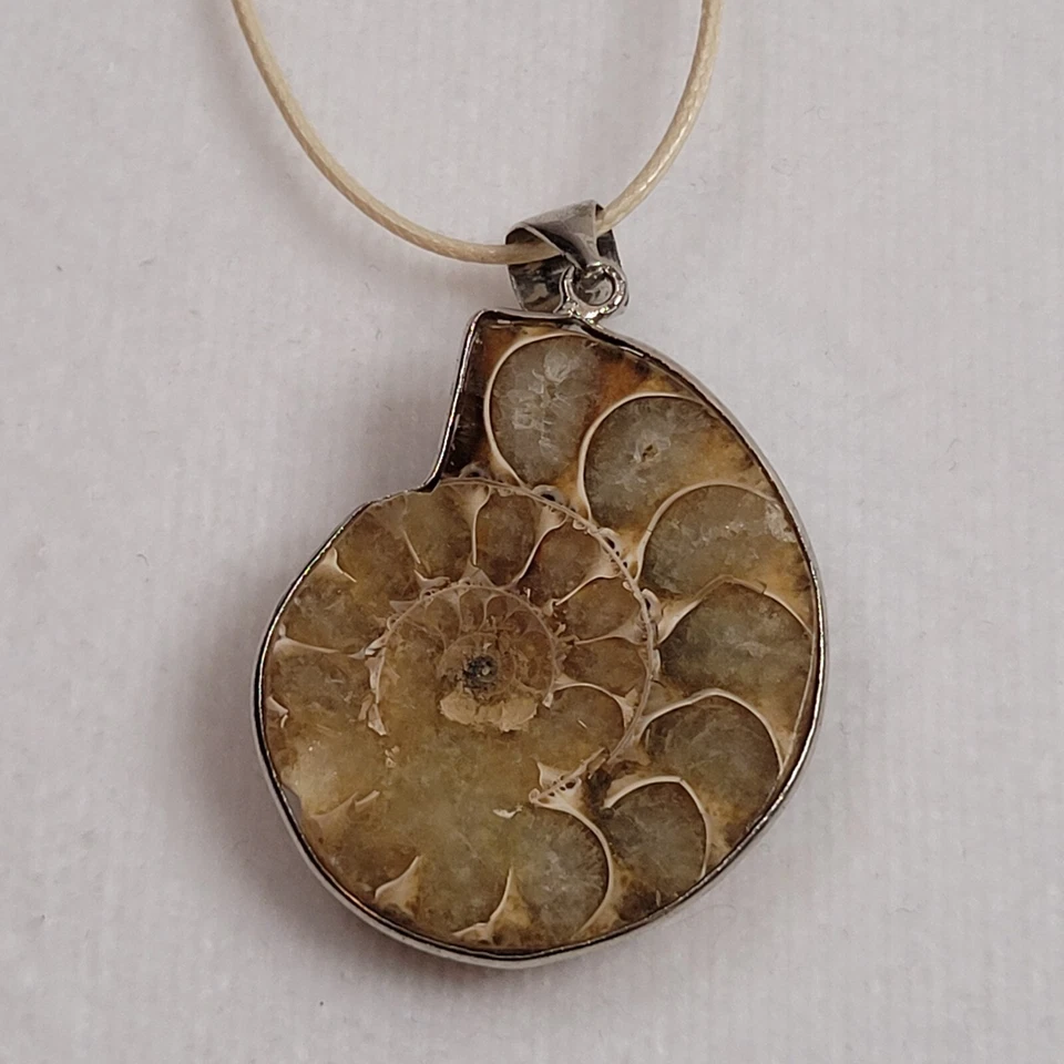 Colgante fósil concha de amonita en cordón tostado tono plata hallazgos playa Foto 1 de 4