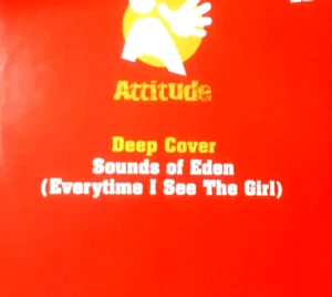 DEEP COVER - SOUNDS OF EDEN - UK GARAGE UKG HOUSE CLASSIC - 12" VINYL RECORD DJ - Picture 1 of 3