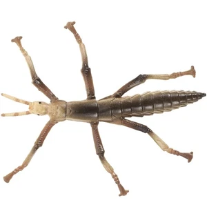  Realistic Stick Toy Learning Interesting Children Montessori Insect Toys - Picture 1 of 10