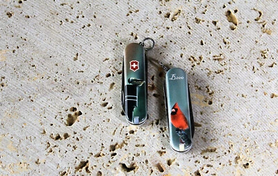 VICTORINOX SWISS ARMY 🌟🌟🌟🌟 Victorinox Classic SD-LE 2018 Black Capped Chickadee & Cardinal 58 mm