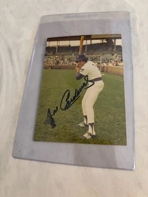 José Cardenal 1977 3 1/2 X 5 1/2" Chicago Cubs fotografía en color autógrafo Foto 1 de 2