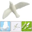 Miniature Birds For Crafts Little White Pigeon Model Toys Models
