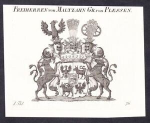 Maltzahn Plessen Wappen coat of armes Kupferstich Genealogie Heraldik 1820