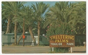 VINTAGE YUMA AZ  SHELTERING PALMS TRAILER PARK POSTCARD 082621  Q - Picture 1 of 2