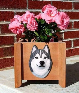 Husky Übertopf Blumentopf grau weiß - Bild 1 von 1
