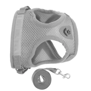 1 Set Dog Harness And Leash Set - Mesh Adjustable Pet Vest Harness With - Picture 1 of 17