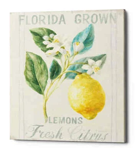 Epic Graffiti "Floursack Lemon I" by Danhui Nai, Giclee Canvas Wall Art - Picture 1 of 7
