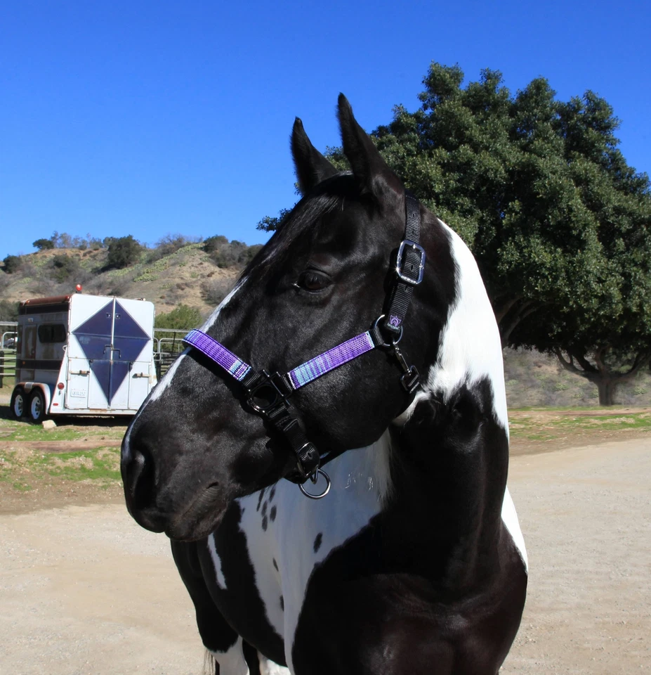 Soporte de nailon premium Kensington Foto 1 de 1