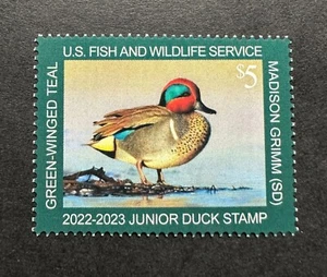 WTDstamps - #JDS30 2022 - Estampilla de pato junior de Estados Unidos - Como nueva OG NH **BIEN CENTRADA** - Imagen 1 de 2