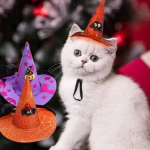 Elastic Witch Pet Hat Adjustable Cat Pumpkin Bat Hat Cosplay - Picture 1 of 12