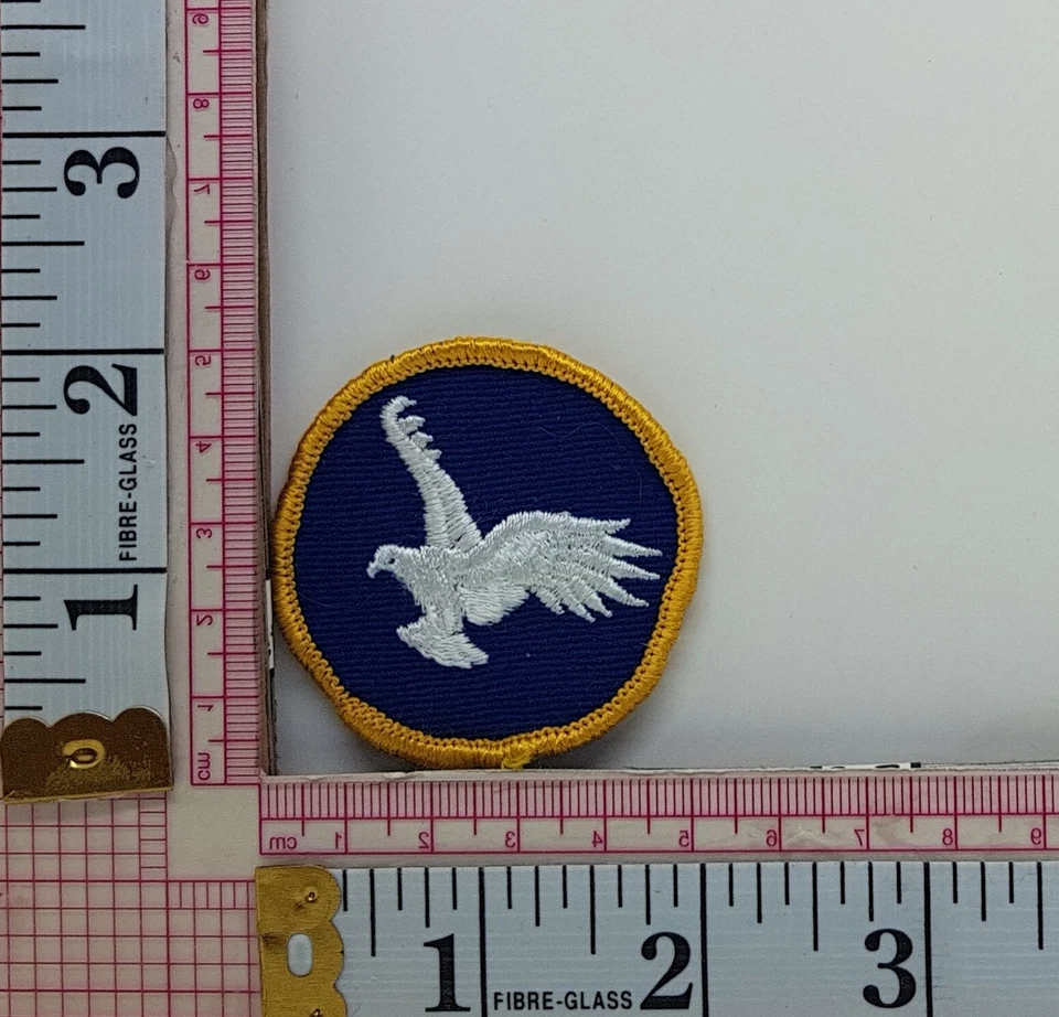 Eagle Troop Jacket Vest Patch Crest Badge w5 - Image 1 of 1