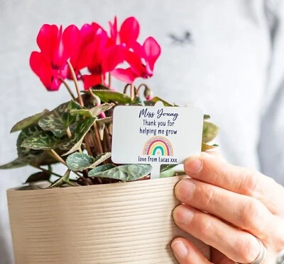 Etiqueta de marcador de planta de maceta de metal personalizada, regalo de agradecimiento de agradecimiento de maestro  Foto 1 de 4