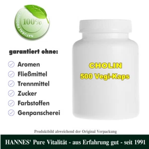 Cholin 500 Vegi-Kaps - Beste HANNES' Qualität - Bild 1 von 1