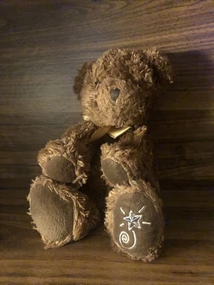 "Shining Star Bear 8""" Foto 1 de 4