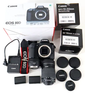 Canon EOS 80D DSLR fotocamera EFS 55-250 IS STM obiettivo EF 50 MM STM caricatore LC-E6E - Foto 1 di 24