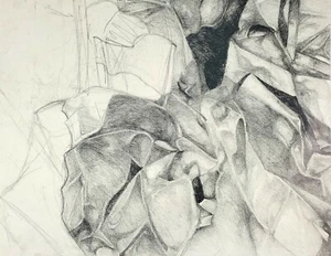 Original Abstract Graphite Drawing on Toned Paper (18" X 23 1/2") - Picture 1 of 8