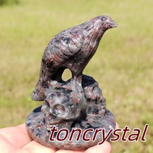 2.8" Natural Yooperlite Crow Skull Hand Carving Quartz Crystal Skull Reiki 1pc - Picture 1 of 13