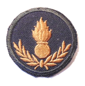 CANADA Canadian Armed Forces FIELD ENGINEER Qualifikation Handelsabzeichen Level 2 - Bild 1 von 1