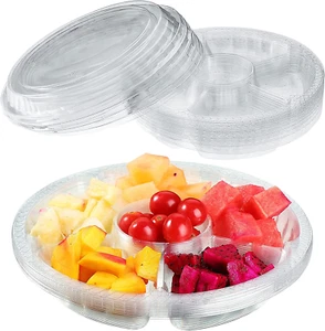 10 Pieces Appetizer Serving Trays with Lids Party Veggie Fruit Snack Trays with - Picture 1 of 6