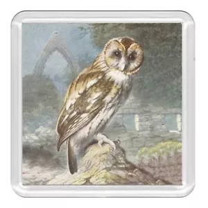 Bird Brown Owl Lovely Acrylic Coaster Novelty Drink Cup Mat Great Gift - Picture 1 of 1