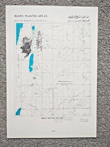 1973 Vintage Government Map of Jordan : Olive Planting Areas - Picture 1 of 1