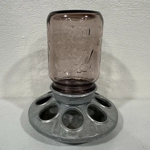 Plato de caramelo alimentador de pollitos galvanizado tarro de albañil bola ideal púrpura - Imagen 1 de 8