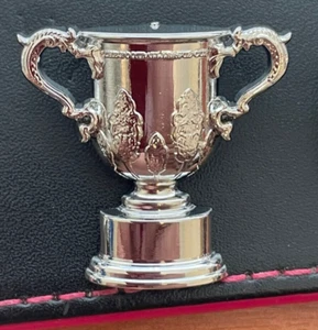 Newcastle United 2024-2025 Football League Cup Trophy Pin Anstecker - Bild 1 von 2