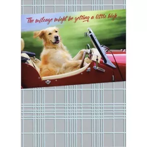 Dog Driving Red Car Funny Masculine Birthday Card for Him Man Men - Picture 1 of 2