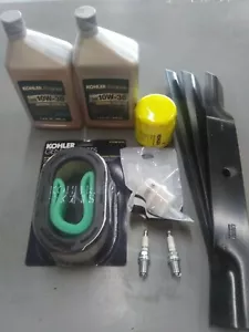 "Raptor SD y kit de puesta a punto abatible (Kohler KT 1608304-S) 54" - Imagen 1 de 1