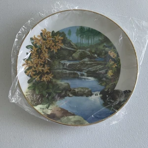 VTG Wildflowers of the South Royal Windsor Ralph Mark Set All 12 Plates NUMBERED - Picture 1 of 16