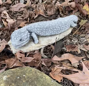 Shingleback Lizard Statue Ornament Animal Cement Concrete Garden Australian Made - Picture 1 of 8