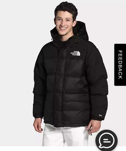 ebay north face parka