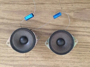 PAAR VINTAGE 2" Hochtöner LAUTSPRECHER 8Ω S60699 Japan 50 Watt mit Frequenzweiche SCHÖN! - Bild 1 von 4