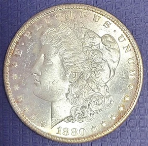 *Dólar Morgan de plata S 1880, detalles sin circular, tonificado #R12 - Imagen 1 de 4