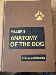 Anatomy of the Dog Dog Biology - Picture 1 of 6