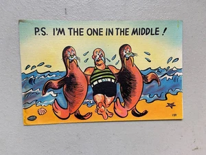 Vintage Leinen Farbbild Postkarte "Ich bin der Eine in der Mitte" Walross Humor - Bild 1 von 2