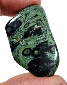 Kambaba Jasper Polished Crocodile Stone 17.9 grams - Picture 1 of 1