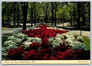 Queens Road, Charlotte, North Carolina, Vintage Post Card - Picture 1 of 2