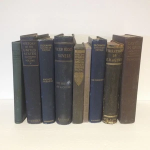 Antique Old BLUE BOOKS Decor Victor Hugo Castles LOT Hardcovers Library Vintage - Foto 1 di 24