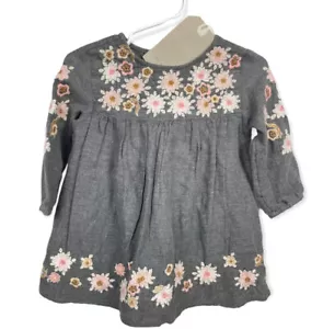 Nuevo con etiquetas Zara Bebé Niña Vestido Bordado Flores Gris Rosa Franela Flor 9-12 9 12 - Imagen 1 de 12