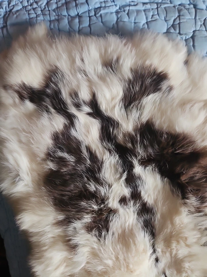 Piel de conejo natural blanco y marrón 14"x10" manualidades proyectos decoración EE. UU.  Foto 1 de 4