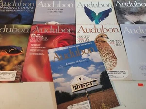 Lot of 9 AUDUBON Magazines (2000s) Birds, Nature, The Arctic - Foto 1 di 7