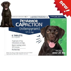 1 CONFEZIONE Capstar Nitenpyram 57mg 6 Compresse per Cani, Sverminazione Orale per Cani - Foto 1 di 8
