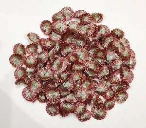 50 Gota Fabric Flowers Applique Patch In Circle Silver & Deep Red Color 25 mm. - Picture 1 of 5