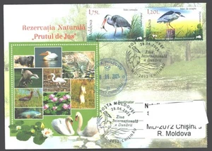 Moldawien 2025, Internationaler Donautag, Vögel, Sonderstempel - Bild 1 von 2