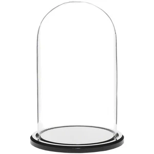 Cúpula de exhibición de vidrio Plymor de 4,5" x 8" (base de acrílico negro) - Imagen 1 de 3